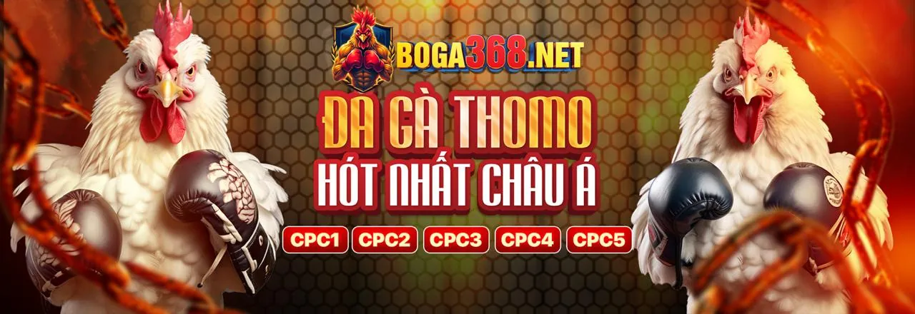 Tham gia baowin khuyến mãi ngay hôm nay