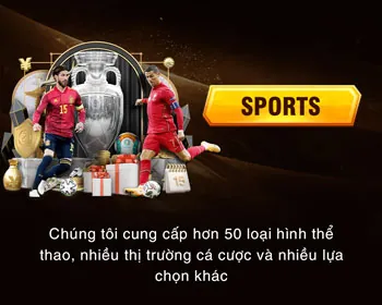 Tổng quan về baowin khuyến mãi và ưu đãi VIP