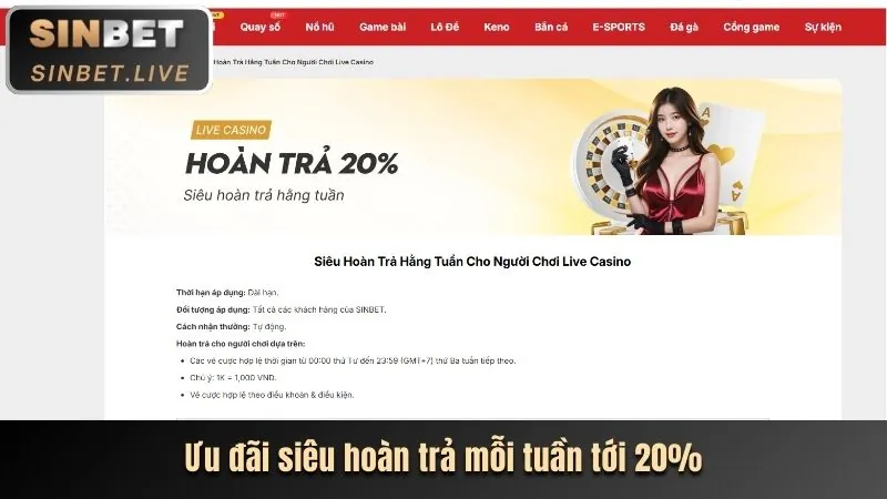 Chương trình hoàn trả cược baowin khuyến mãi